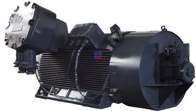 YBBP系列低壓隔爆型變頻調速三相異步電動機(H355~H560)